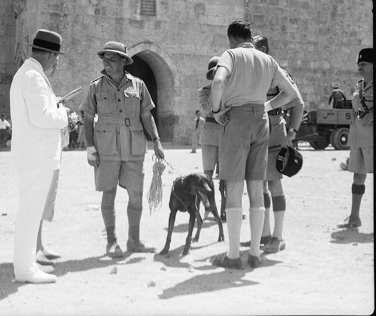 Police doghanler with doberman outside Herod Gate